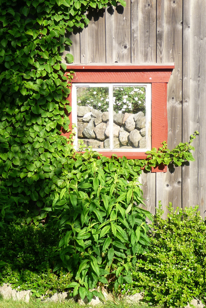 Spiegelbild der Natur