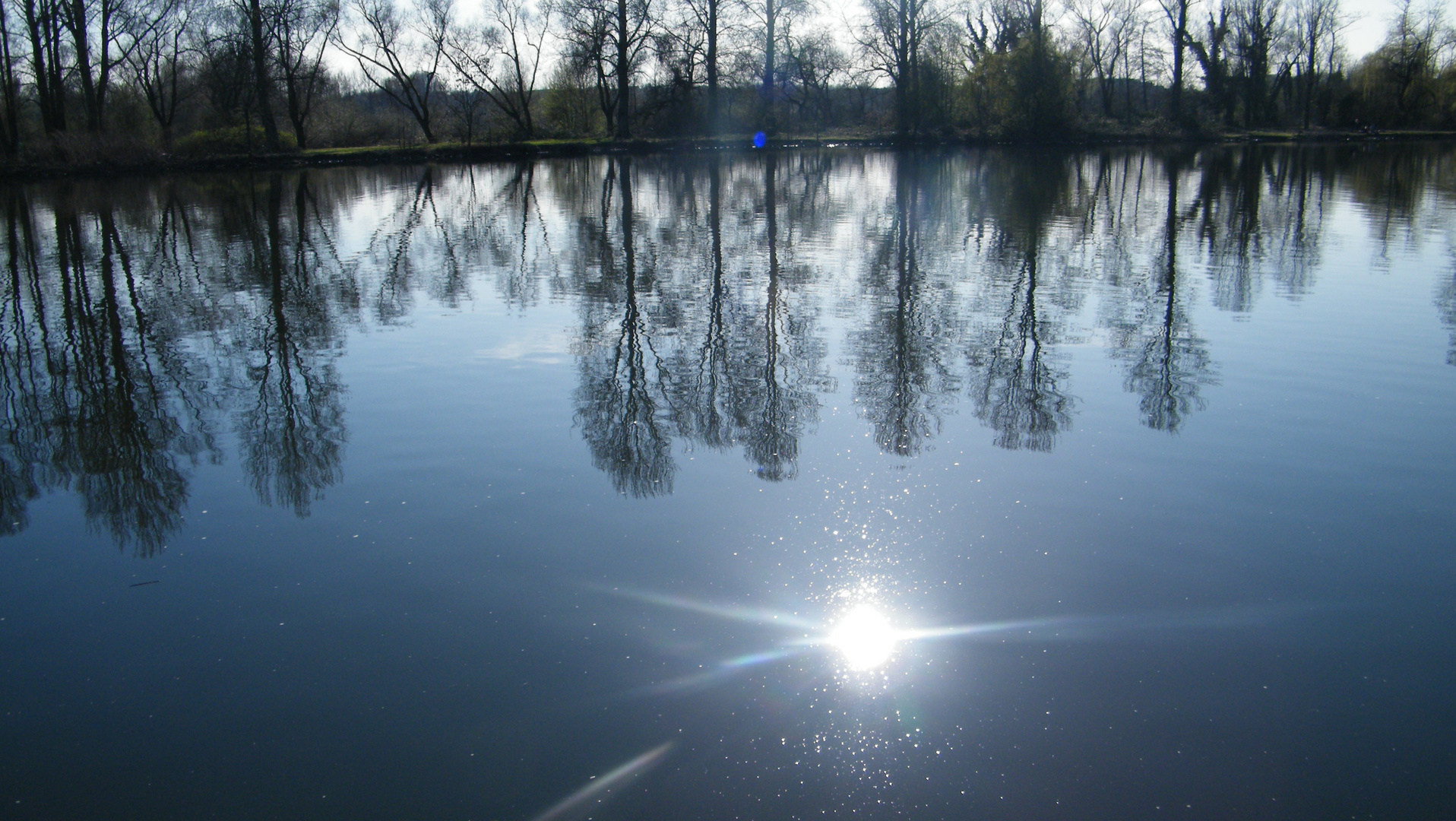 Spiegelbild der Natur