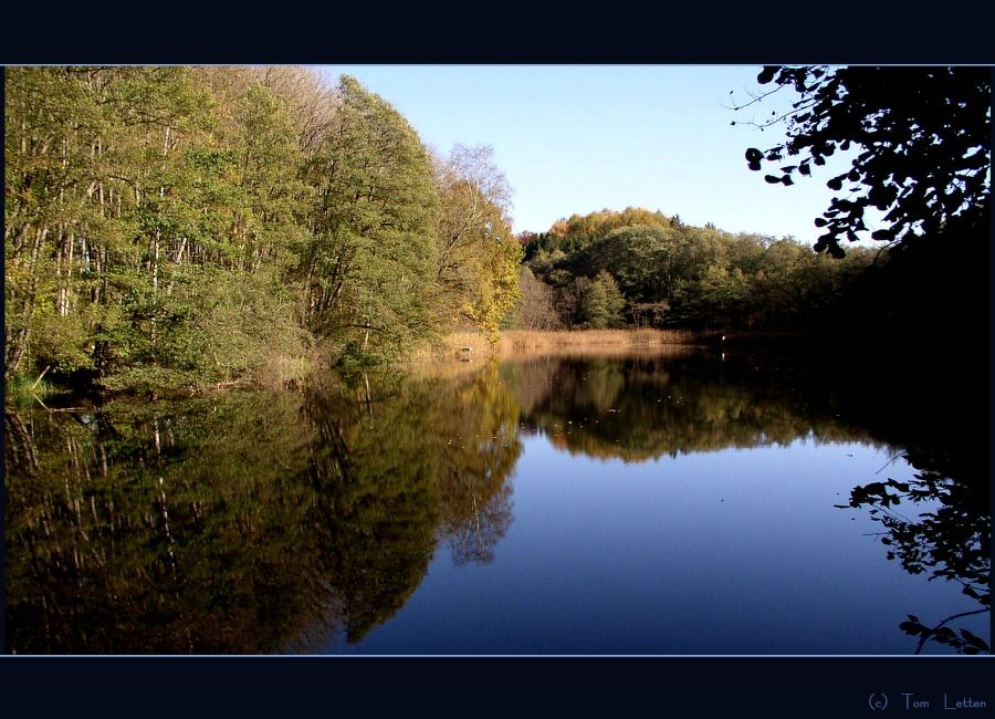 Spiegelbild des Herbstes