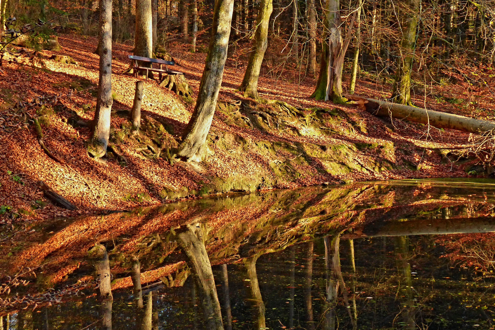 Spiegelbild des Herbstes 