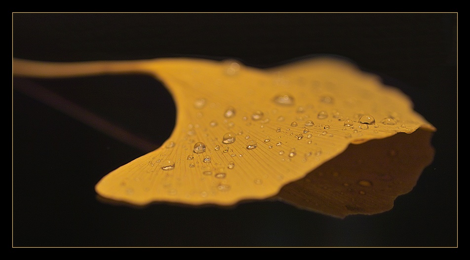 spiegelbild des herbstes...