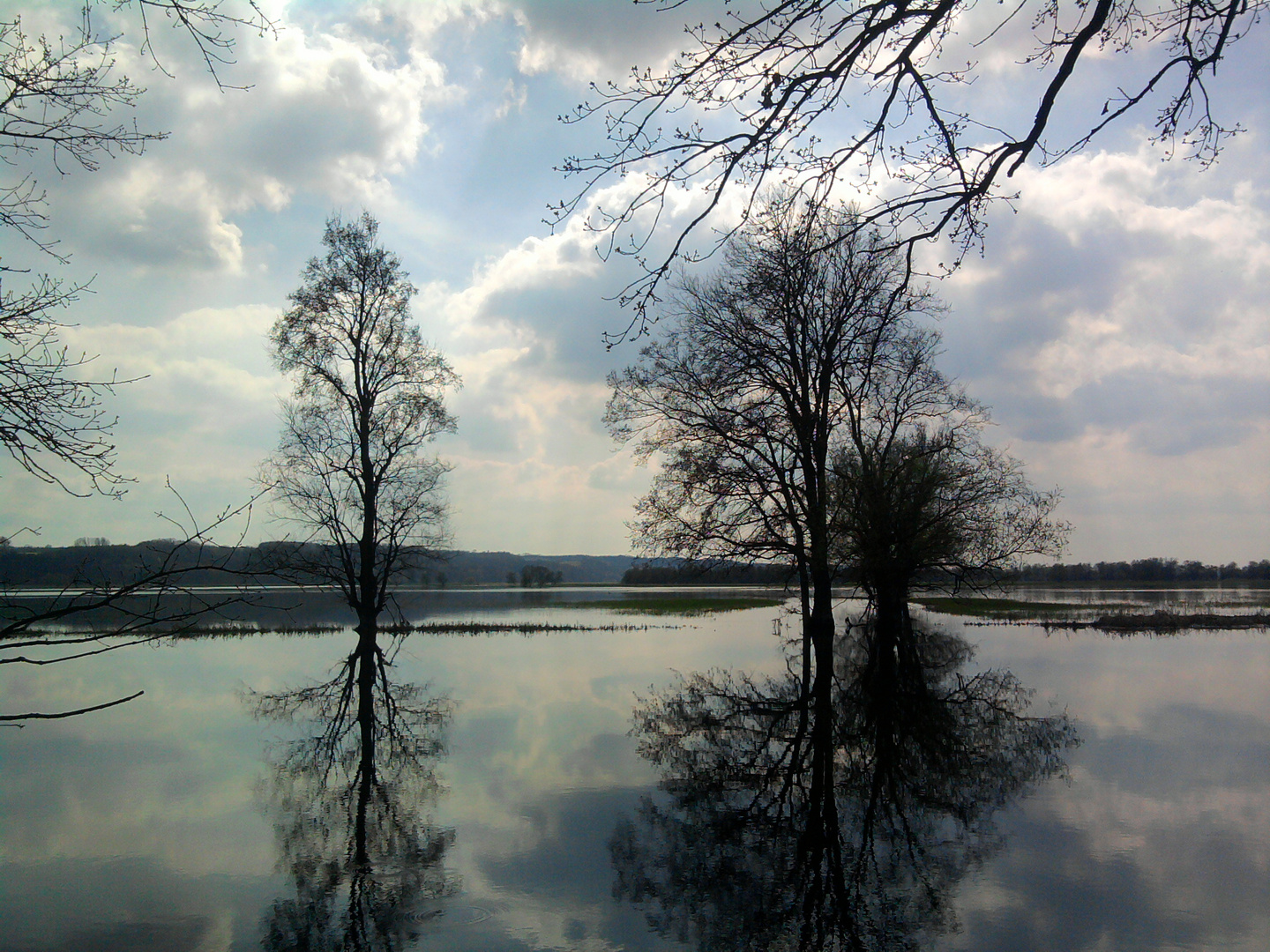 Spiegelbild durch die Oder