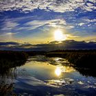 Spiegelbild ("goldene Stunde am Federsee") 