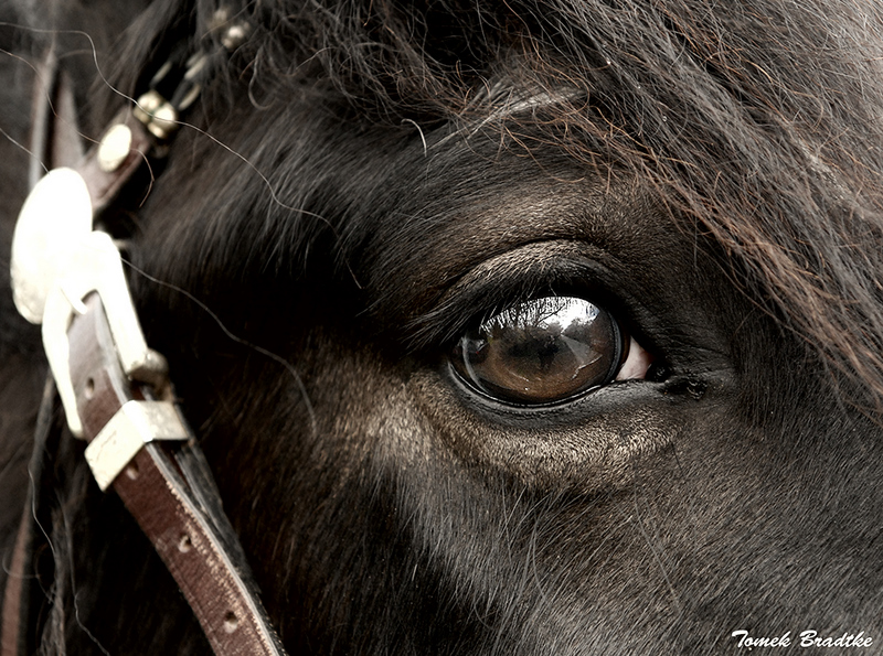 Spiegelbild im Auge