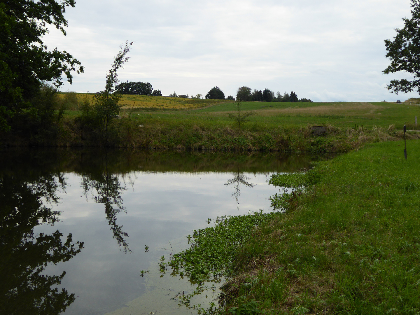 Spiegelbild im kleiner Teich