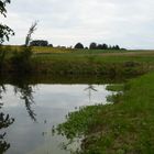 Spiegelbild im kleiner Teich