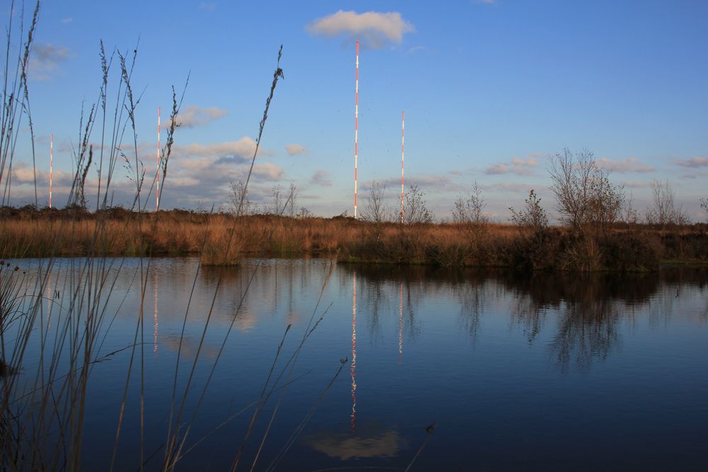 Spiegelbild im Moorsee