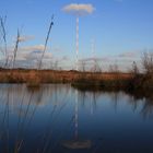 Spiegelbild im Moorsee