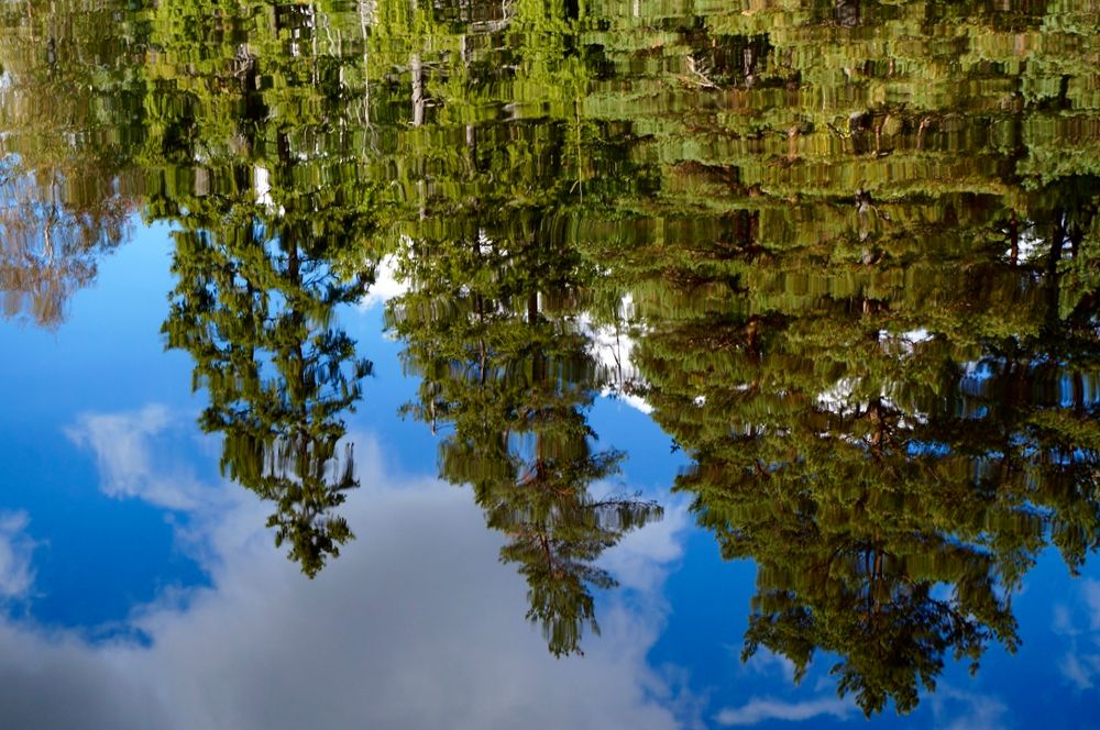 Spiegelbild im See