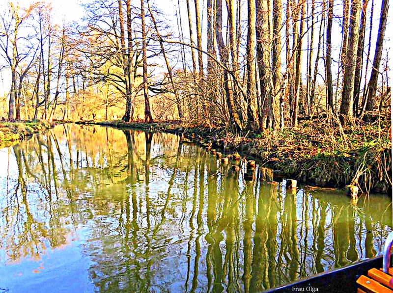  Spiegelbild im Spreewald