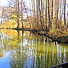  Spiegelbild im Spreewald