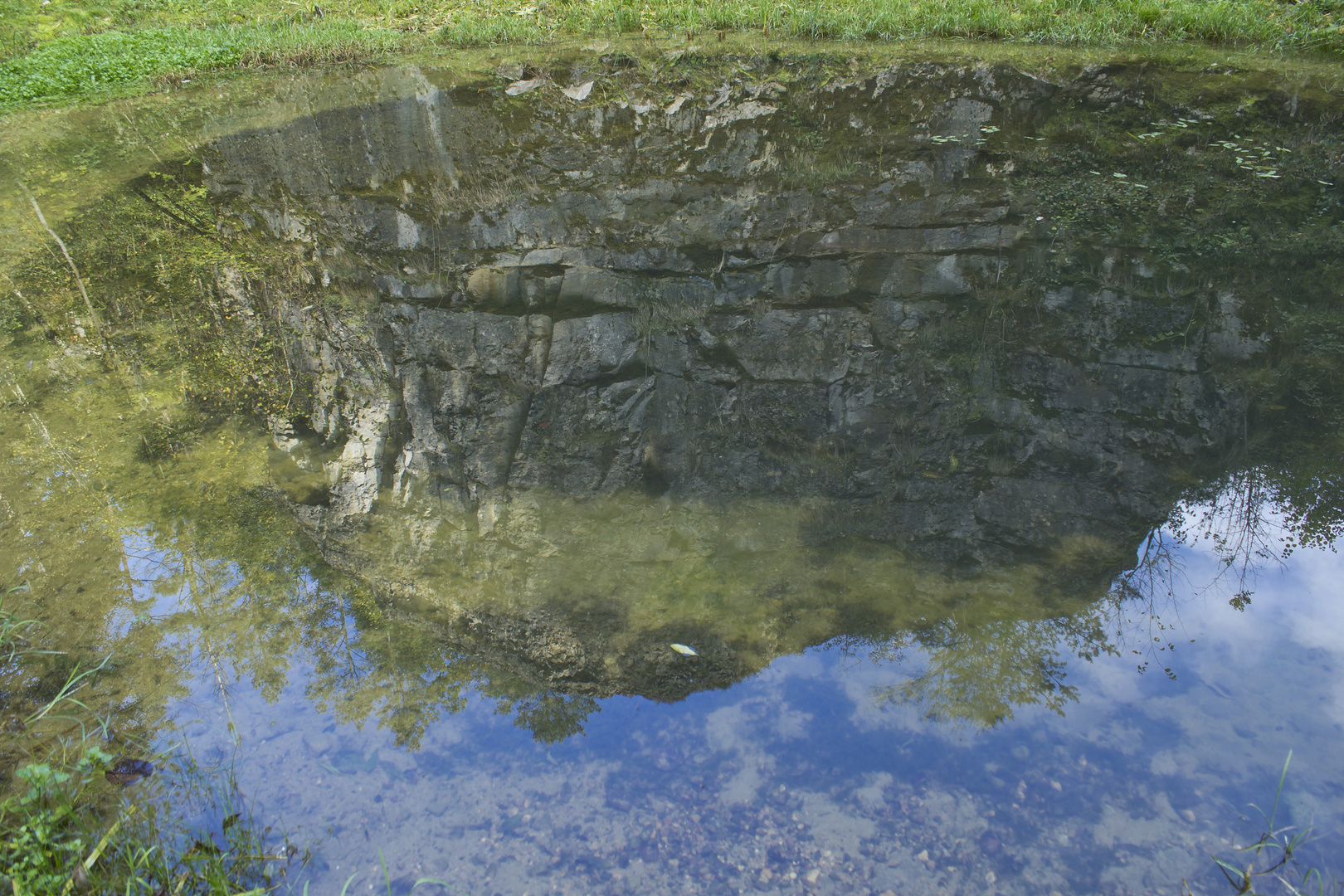 Spiegelbild im Tümpel