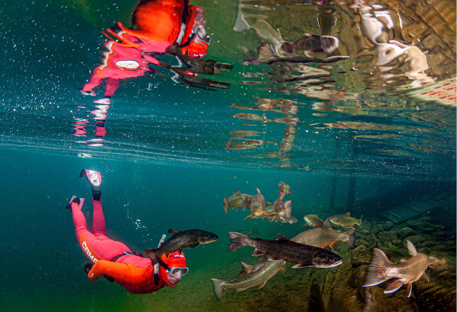 Spiegelbild im Wasser