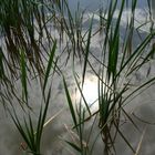 spiegelbild im wasser