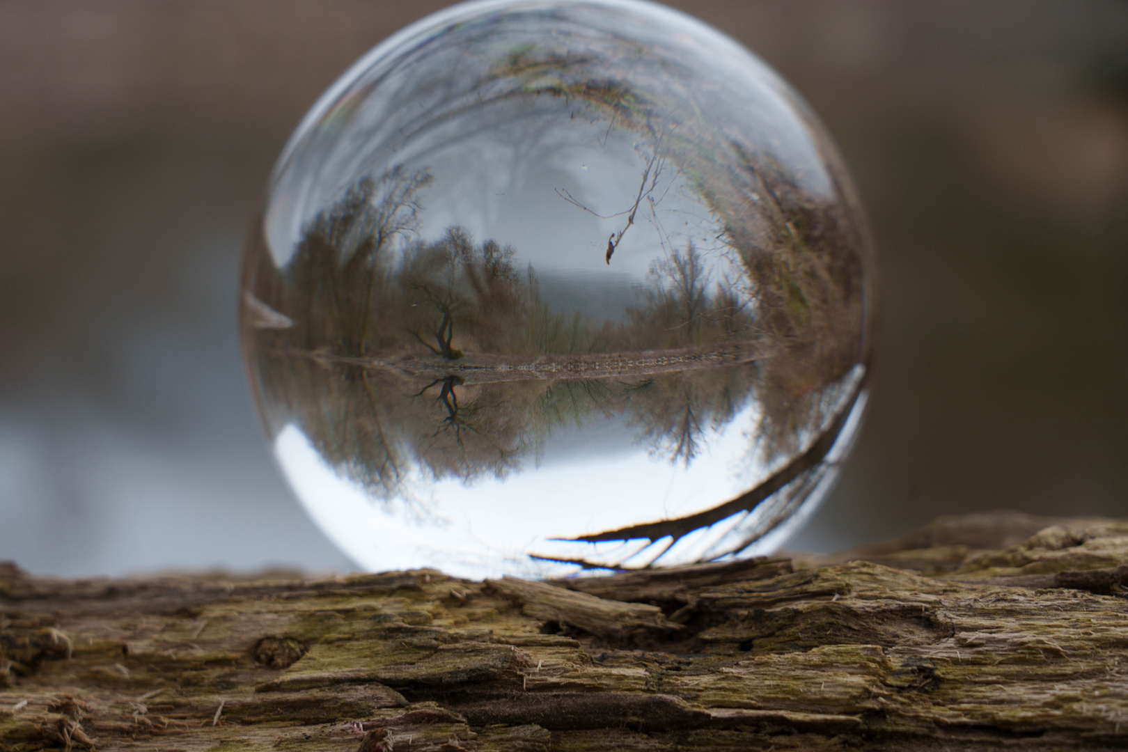 Spiegelbild in der Glaskugel