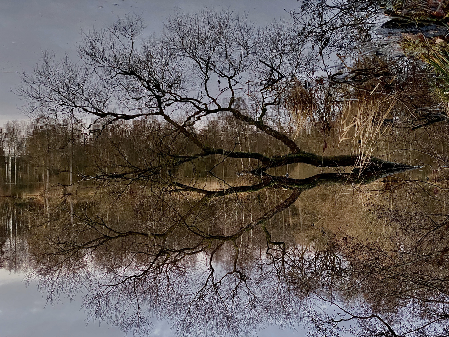 Spiegelbild Klutensee in Lüdinghausen