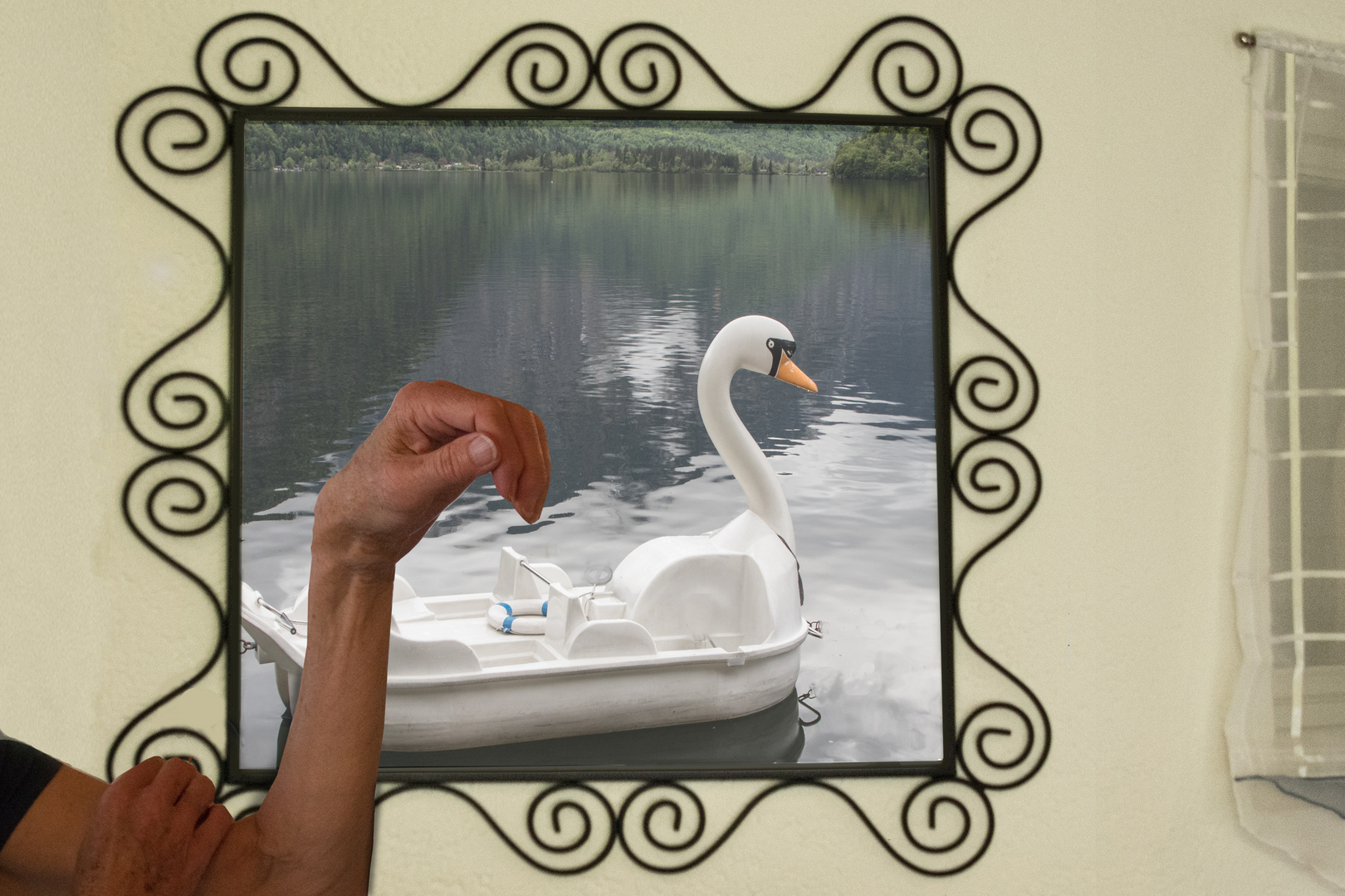 Spiegelbild mein lieber Schwan