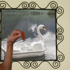 Spiegelbild mein lieber Schwan