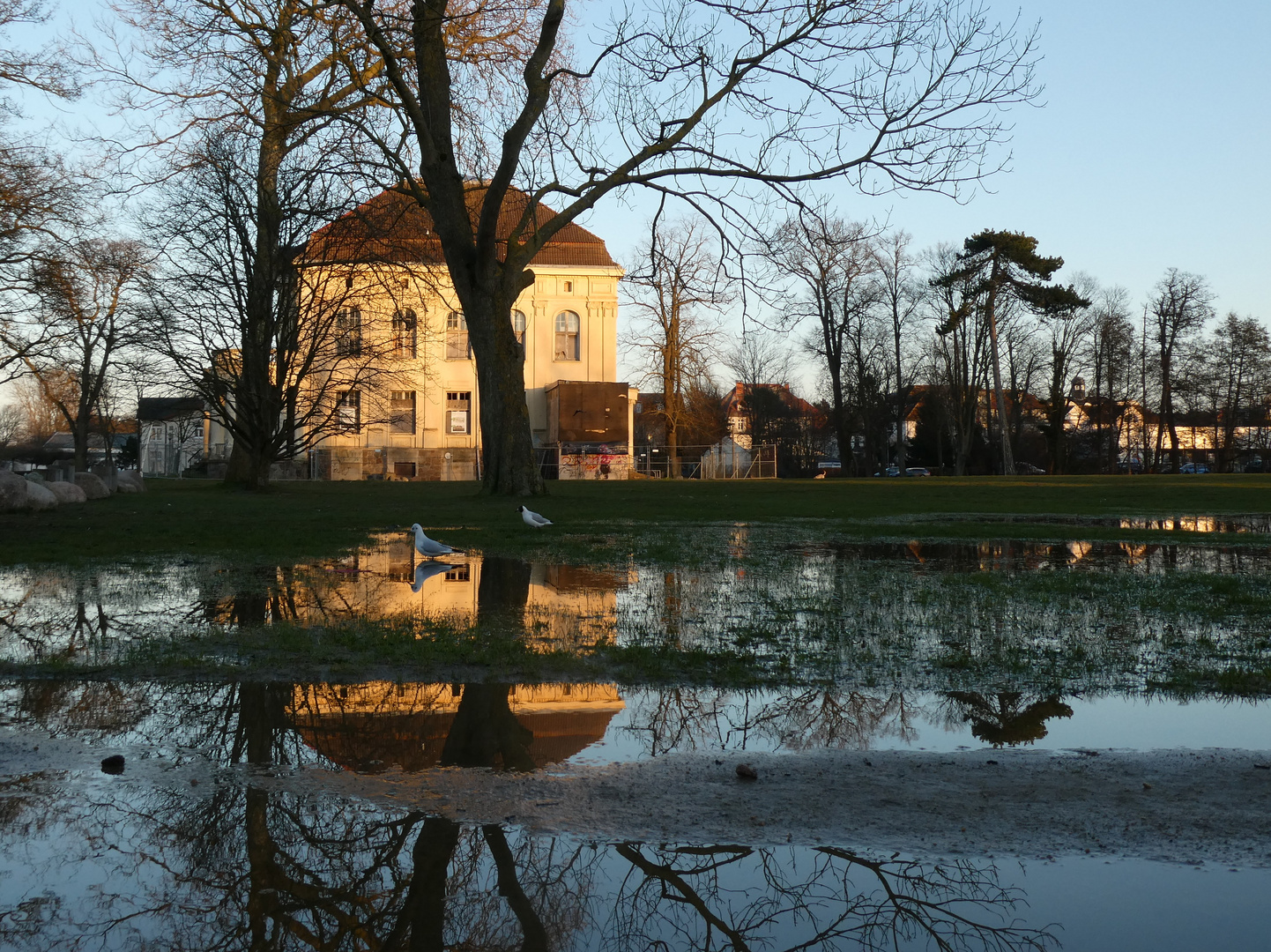 Spiegelbild nach Regenschauer