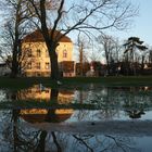 Spiegelbild nach Regenschauer