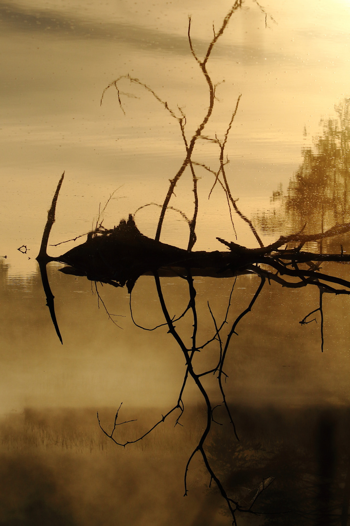 Spiegelbild zum Sonnenaufgang