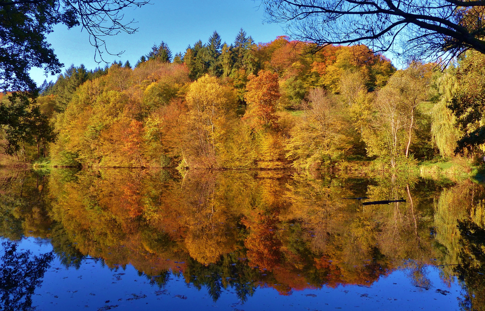 Spiegelbilder 03: Teich mit Herbstwald