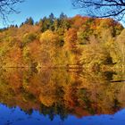 Spiegelbilder 03: Teich mit Herbstwald