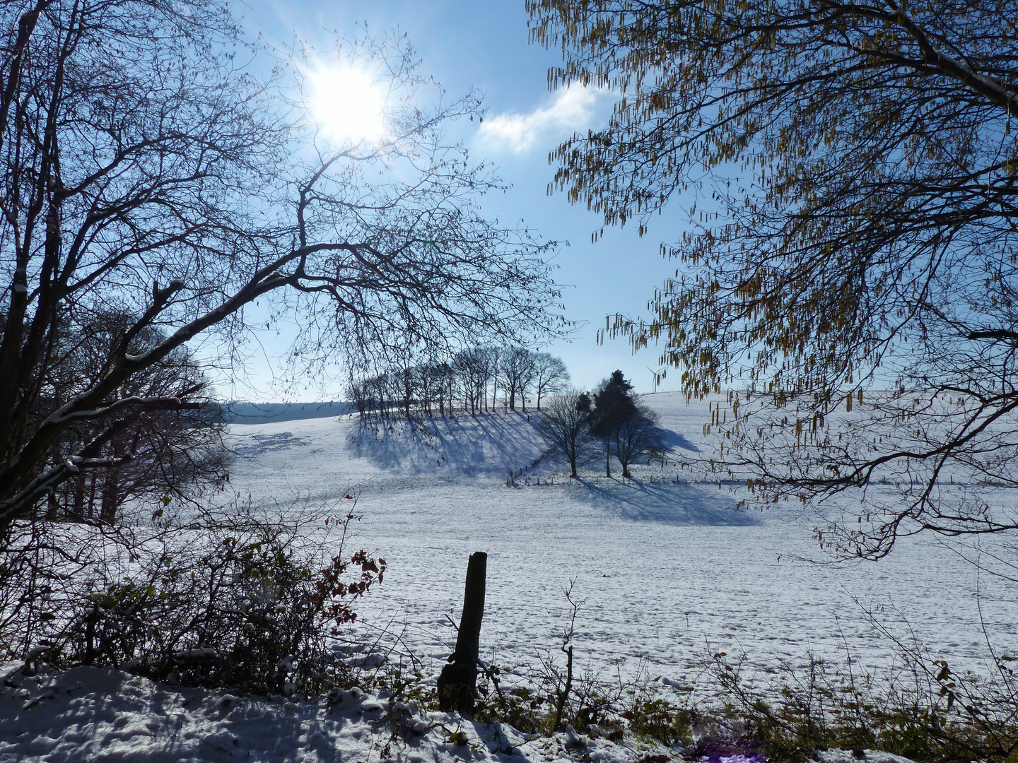 Spiegelbilder 05.02.2018_01