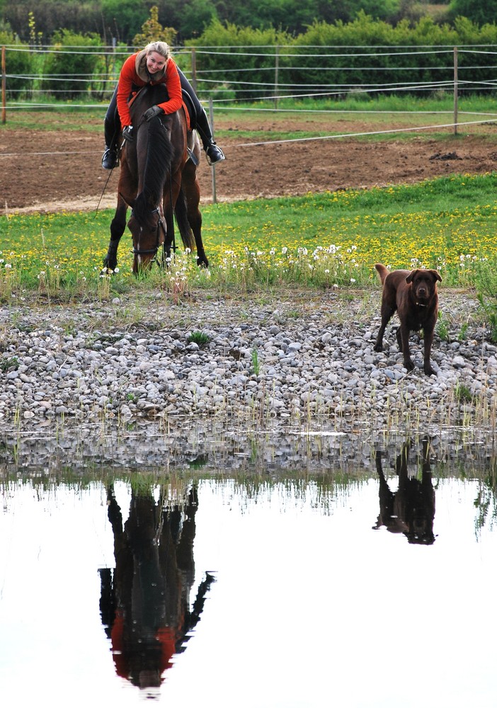 Spiegelbilder