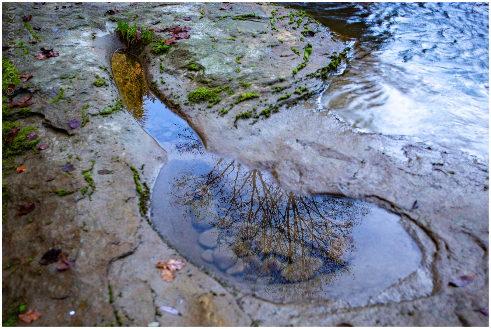 Spiegelbilder der Natur