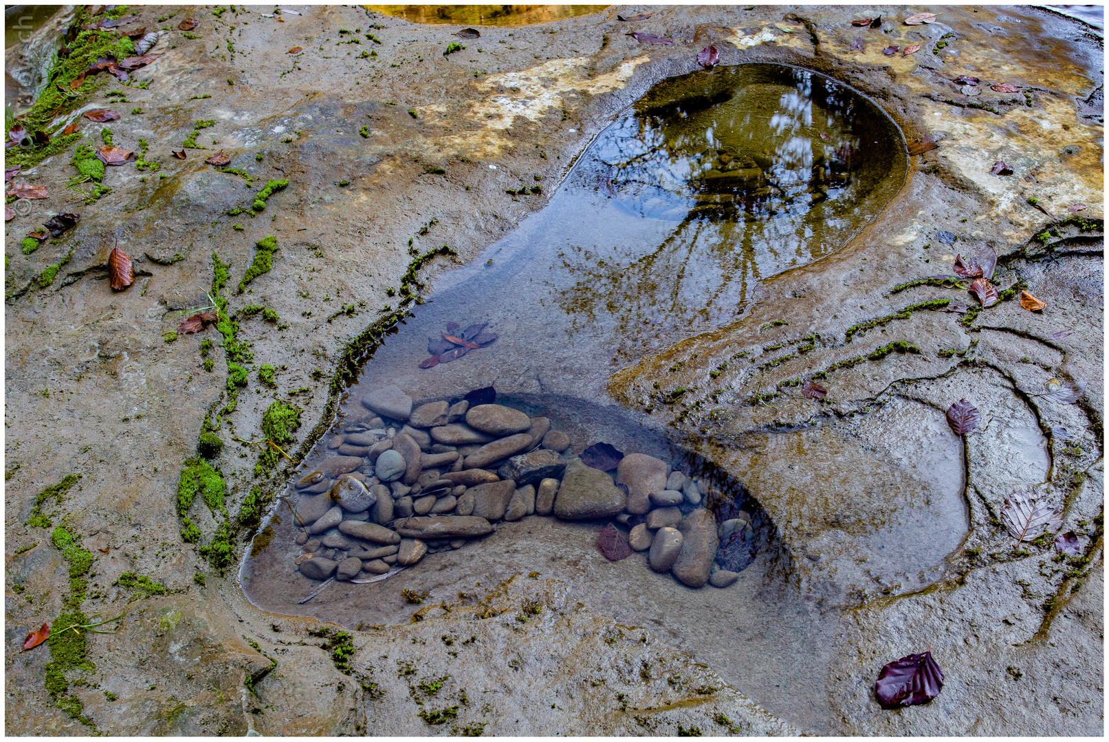 Spiegelbilder der Natur