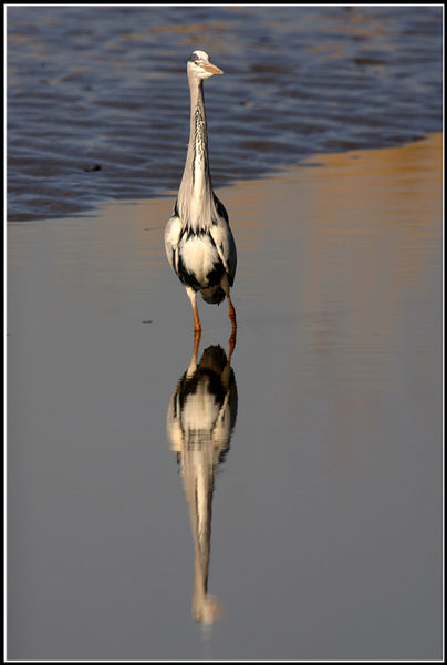 Spiegelbilder