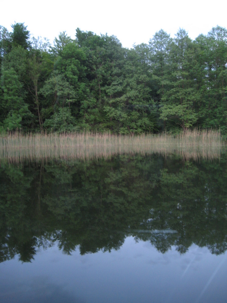 Spiegelbilder in der Müritz 2