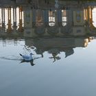 Spiegelbildschwimmerin Möwe vor alter Kultur