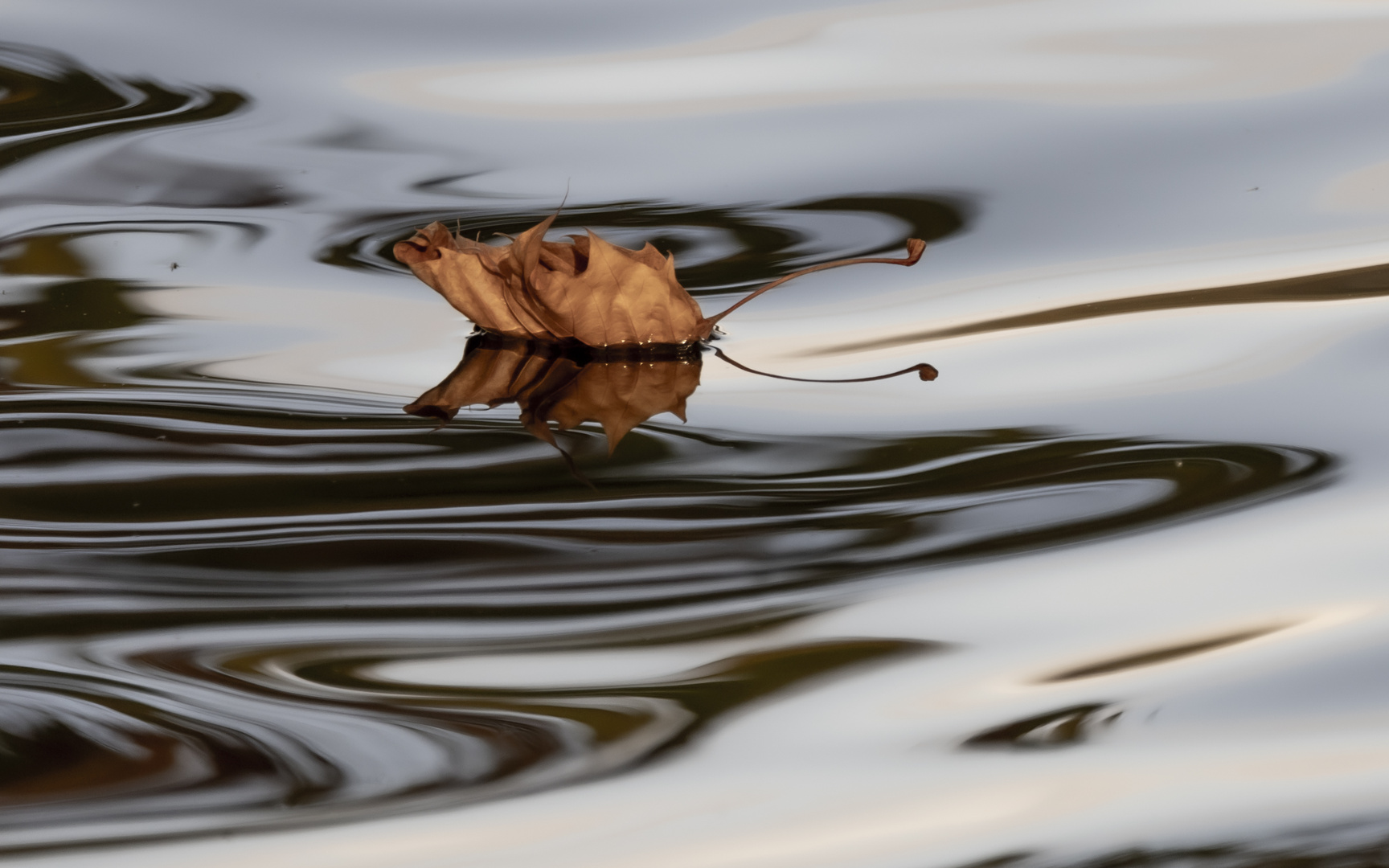 Spiegelblatt