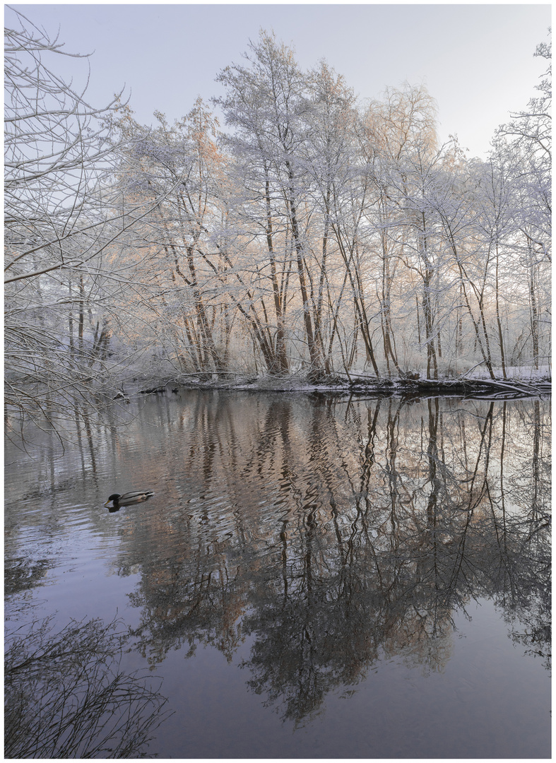 "Spiegelday": Wintereinbruch im Alstertal