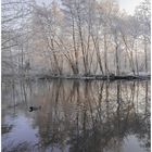 "Spiegelday": Wintereinbruch im Alstertal