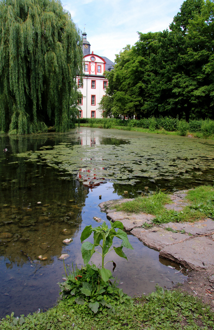 Spiegeldienstag