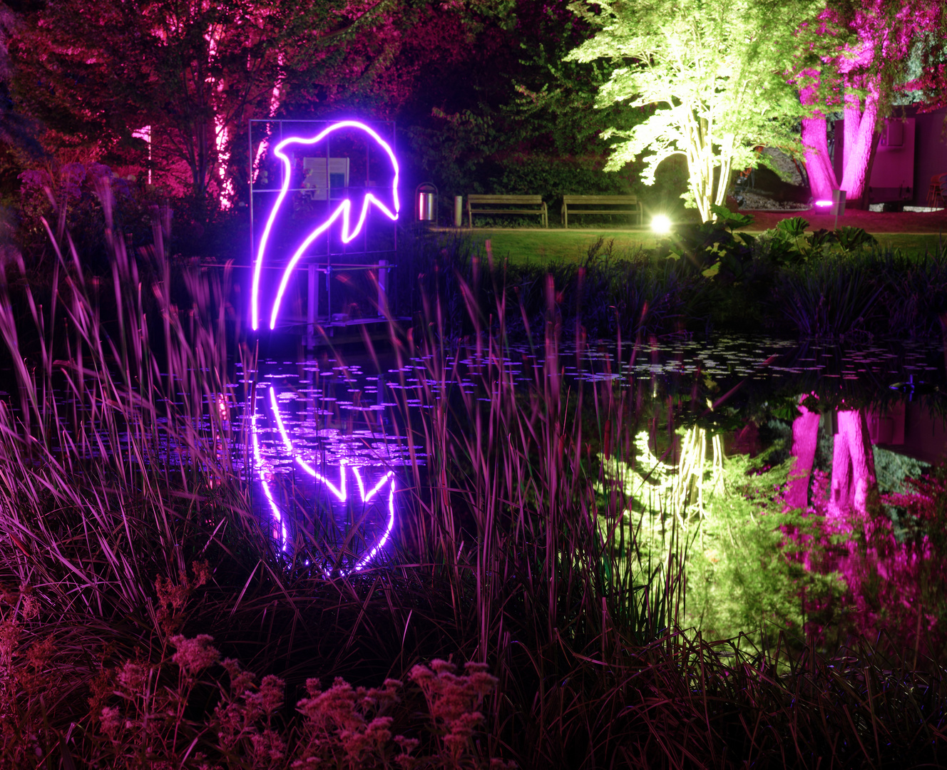 Spiegeldienstag - Lichtspiegel im Teich