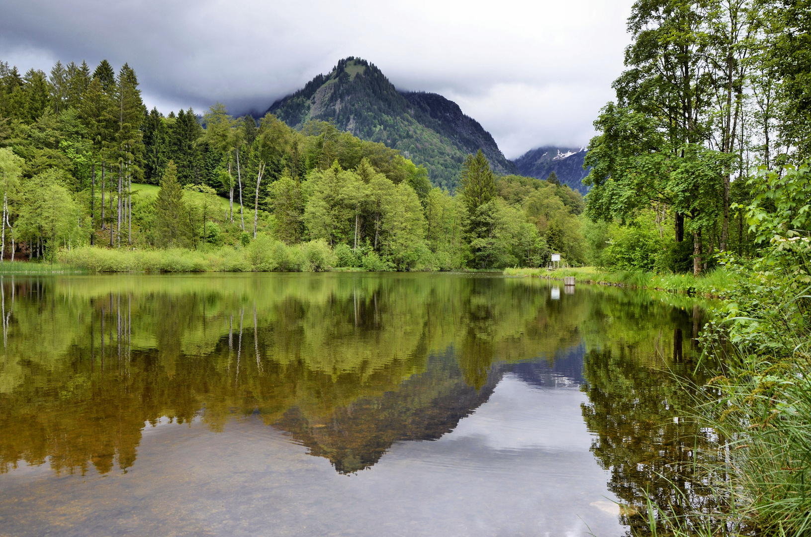  Spiegeldienstag Moorweiher