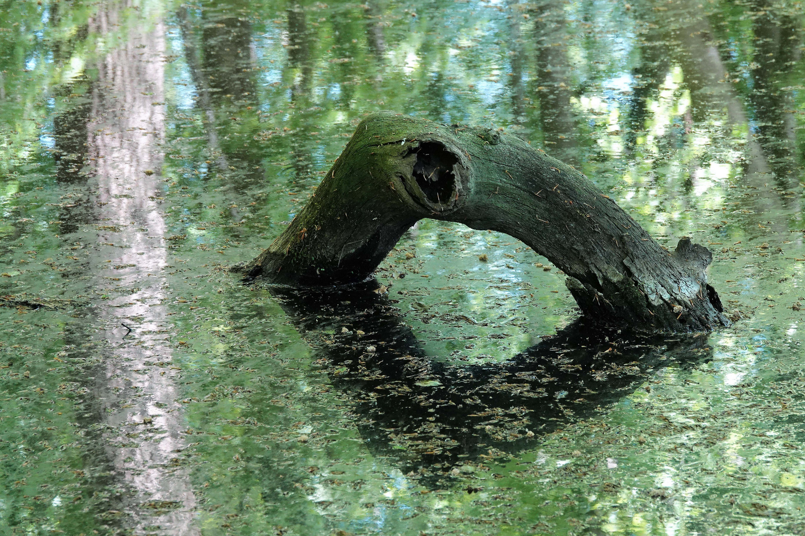 SpiegelEI