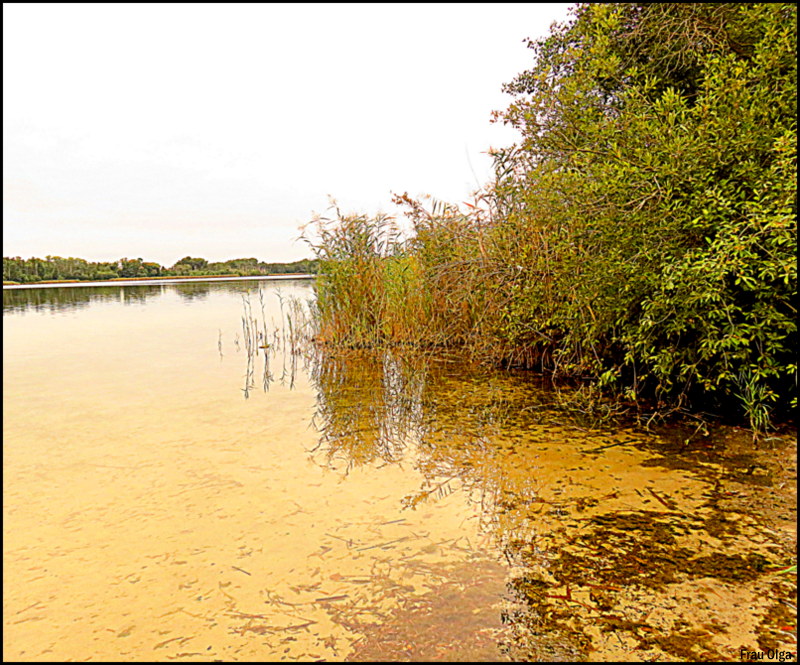 Spiegelei am See