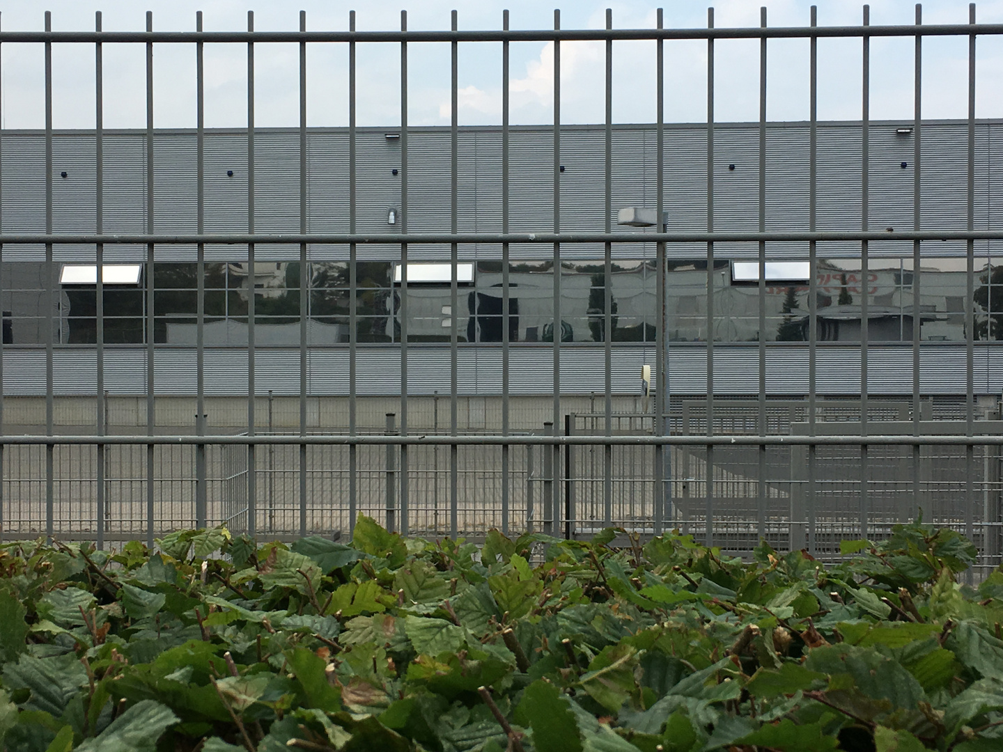 Spiegelei hinter Gittern