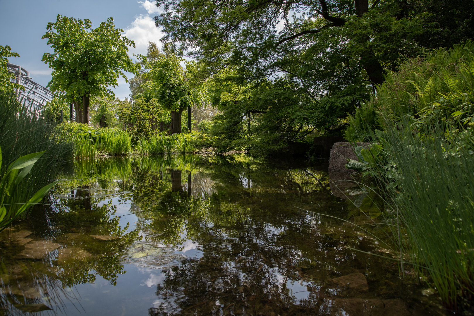 Spiegelei im Berggarten