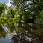 Spiegelei im Berggarten