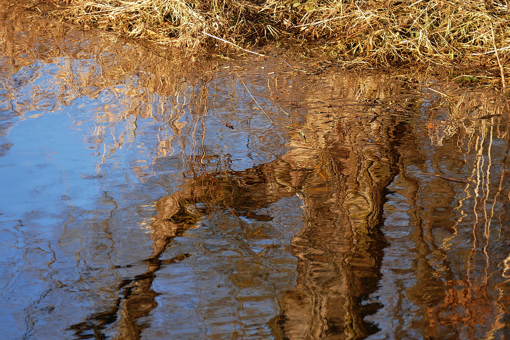 Spiegelei zum Spiegeltag