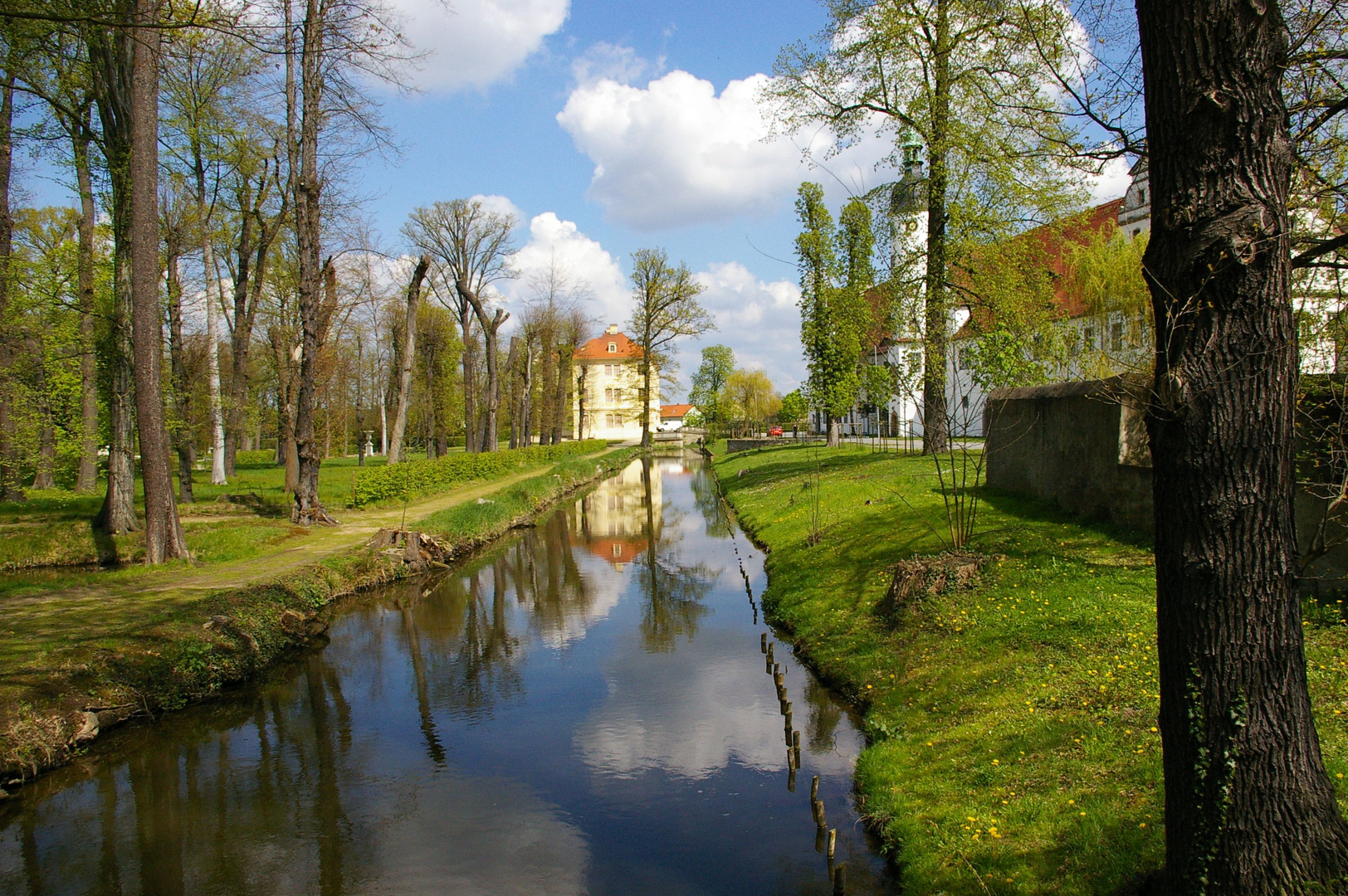 Spiegeleien