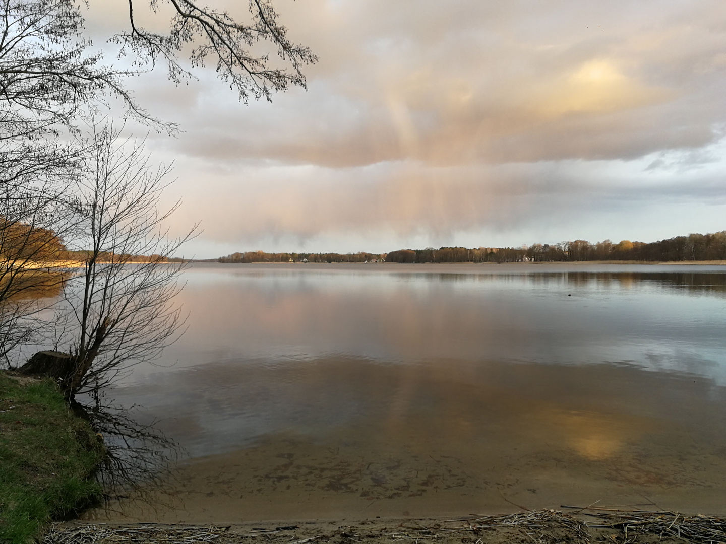 Spiegeleien im See