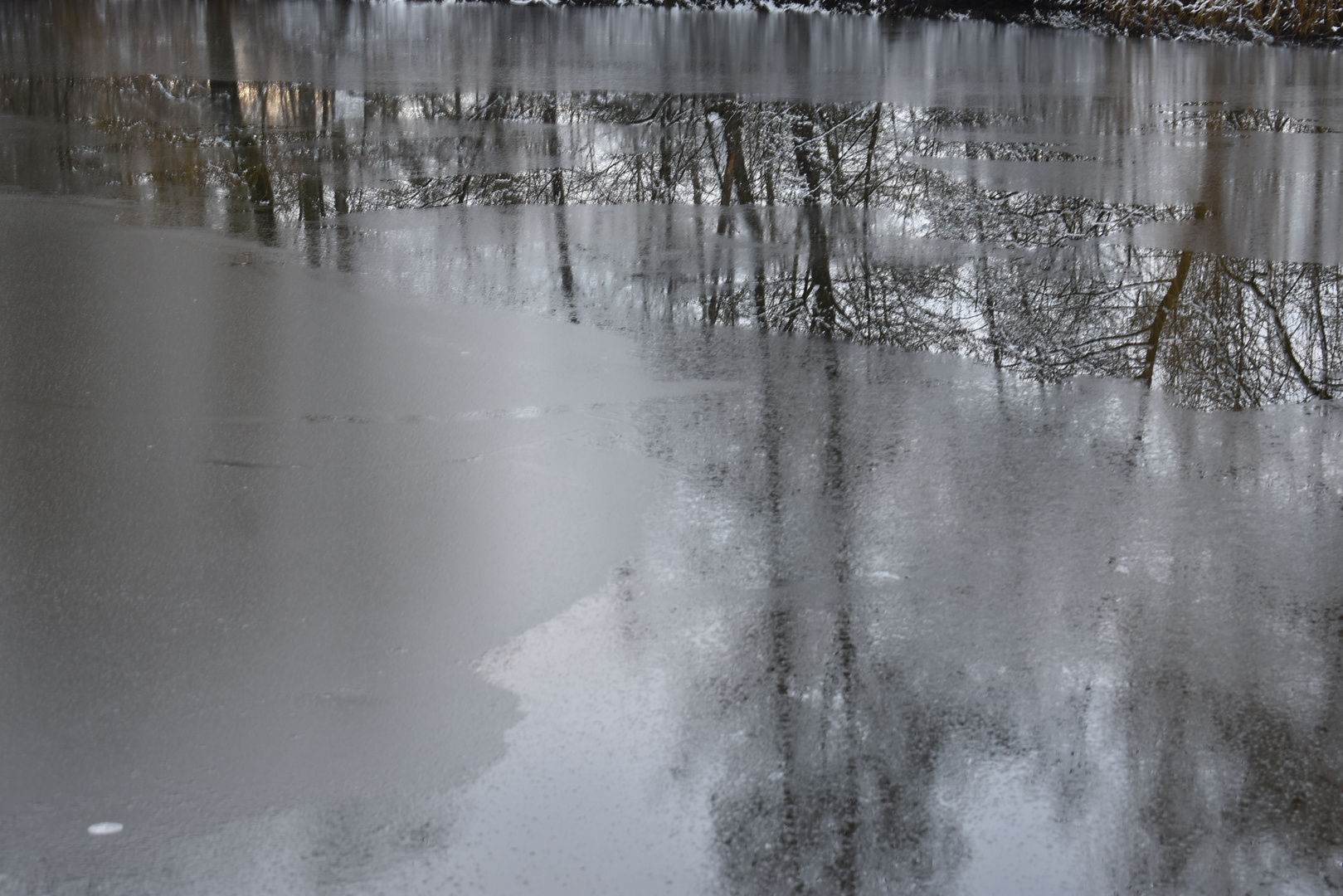 Spiegeleien zwischen Eisschichten - Spiegeltag 2.2.21