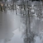 Spiegeleien zwischen Eisschichten - Spiegeltag 2.2.21